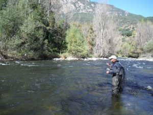 Pescando a ninfa en el sector de La Seu