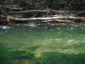 un lloc tranquil 005